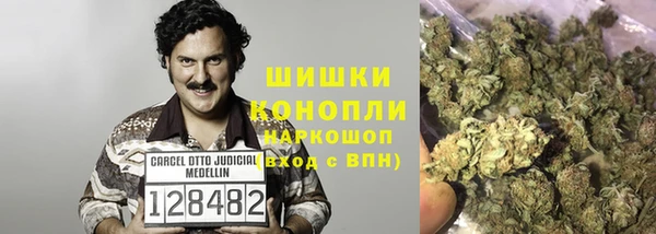 винт Вяземский