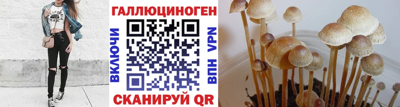 Галлюциногенные грибы GOLDEN TEACHER  гидра ссылка  Геленджик 